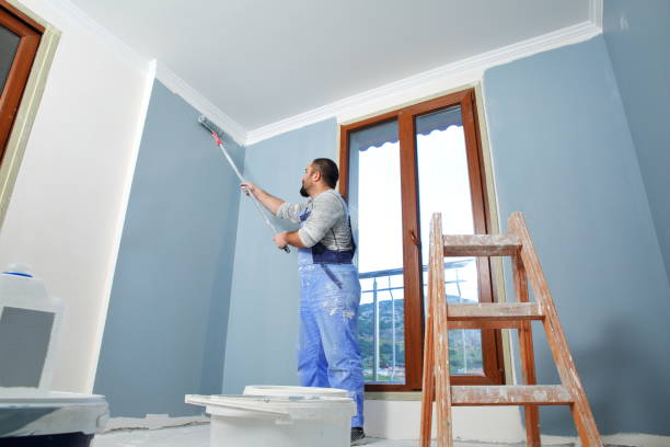 Best Faux Finishing and Decorative Painting  in Salina, UT